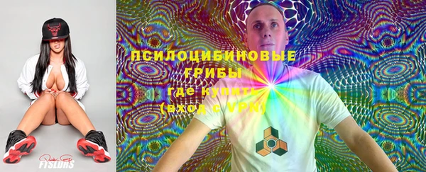 соль ск Абаза