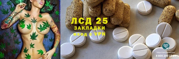 соль ск Абаза